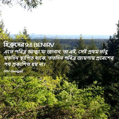 Picture 02 - হিব্রুদের 9:8 BENIRV - এতে পবিত্র আত্মা - Bible Verse Picture