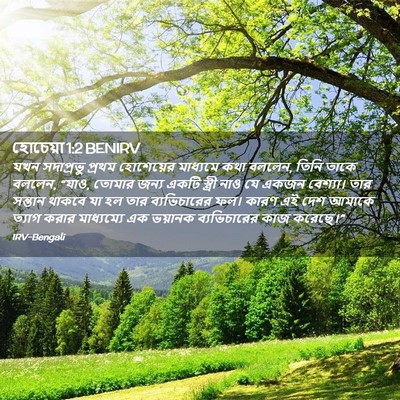 Picture 02 - হোচেয়া 1:2 BENIRV - যখন সদাপ্রভু - Bible Verse Picture
