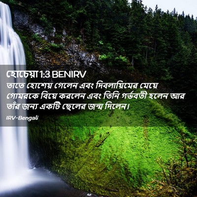 Picture 02 - হোচেয়া 1:3 BENIRV - তাতে হোশেয় গেলেন - Bible Verse Picture
