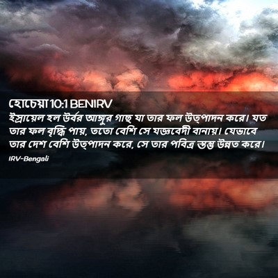 Picture 02 - হোচেয়া 10:1 BENIRV - ইস্রায়েল হল - Bible Verse Picture