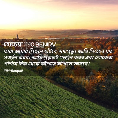 Picture 02 - হোচেয়া 11:10 BENIRV - তারা আমার পিছনে - Bible Verse Picture