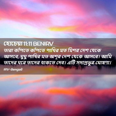Picture 02 - হোচেয়া 11:11 BENIRV - তারা কাঁপতে - Bible Verse Picture