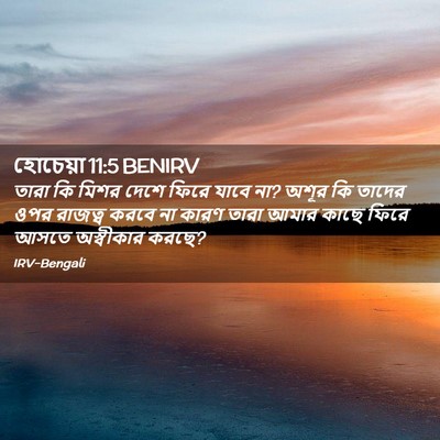 Picture 02 - হোচেয়া 11:5 BENIRV - তারা কি মিশর দেশে - Bible Verse Picture