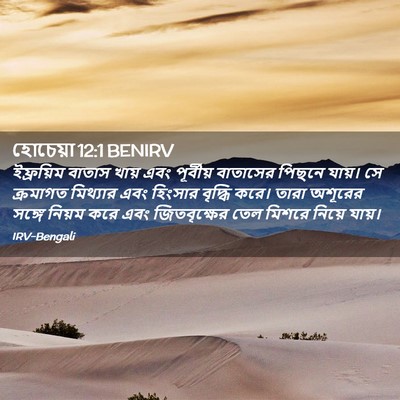 Picture 02 - হোচেয়া 12:1 BENIRV - ইফ্রয়িম বাতাস - Bible Verse Picture