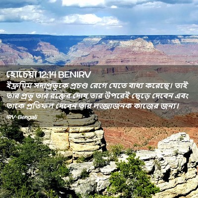 Picture 02 - হোচেয়া 12:14 BENIRV - ইফ্রয়িম - Bible Verse Picture