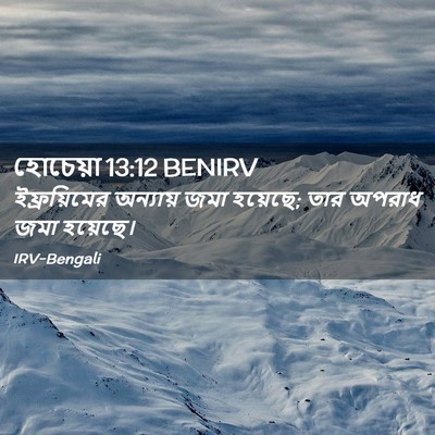 Picture 02 - হোচেয়া 13:12 BENIRV - ইফ্রয়িমের - Bible Verse Picture