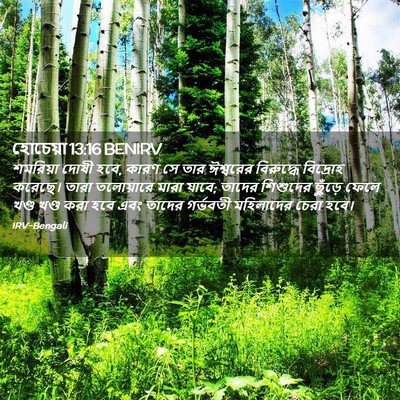 Picture 02 - হোচেয়া 13:16 BENIRV - শমরিয়া দোষী হবে, - Bible Verse Picture