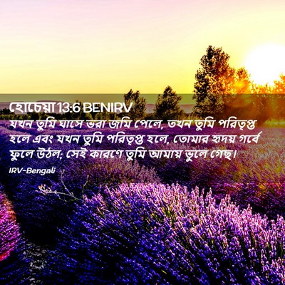 Picture 02 - হোচেয়া 13:6 BENIRV - যখন তুমি ঘাসে ভরা - Bible Verse Picture