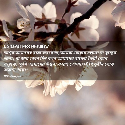 Picture 02 - হোচেয়া 14:3 BENIRV - অশূর আমাদের রক্ষা - Bible Verse Picture