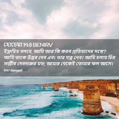 Picture 02 - হোচেয়া 14:8 BENIRV - ইফ্রয়িম বলবে, আমি - Bible Verse Picture