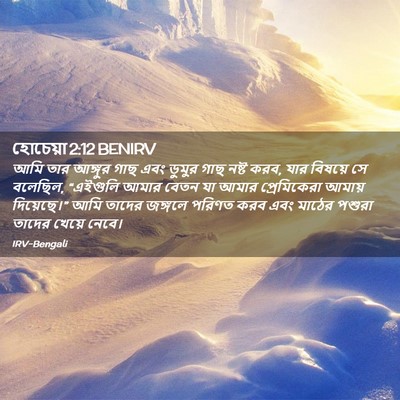 Picture 02 - হোচেয়া 2:12 BENIRV - আমি তার আঙ্গুর গাছ - Bible Verse Picture