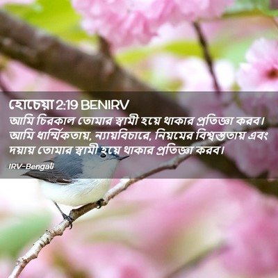 Picture 02 - হোচেয়া 2:19 BENIRV - আমি চিরকাল তোমার - Bible Verse Picture