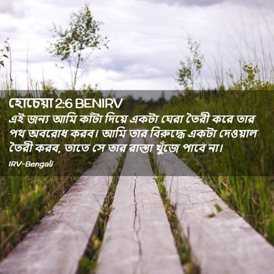 Picture 02 - হোচেয়া 2:6 BENIRV - এই জন্য আমি কাঁটা - Bible Verse Picture