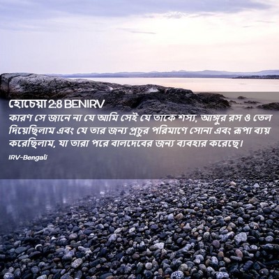 Picture 02 - হোচেয়া 2:8 BENIRV - কারণ সে জানে না যে - Bible Verse Picture