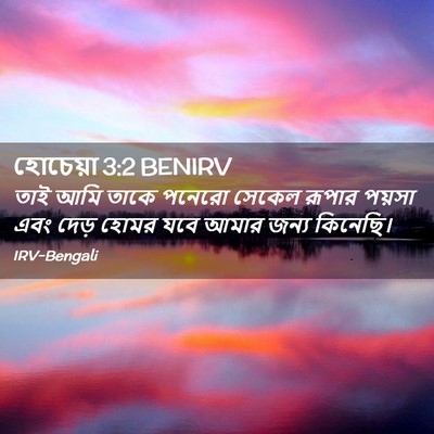 Picture 02 - হোচেয়া 3:2 BENIRV - তাই আমি তাকে পনেরো - Bible Verse Picture