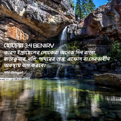 Picture 02 - হোচেয়া 3:4 BENIRV - কারণ ইস্রায়েলের - Bible Verse Picture