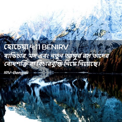 Picture 02 - হোচেয়া 4:11 BENIRV - ব্যভিচার, মদ এবং - Bible Verse Picture