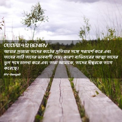 Picture 02 - হোচেয়া 4:12 BENIRV - আমার প্রজারা - Bible Verse Picture