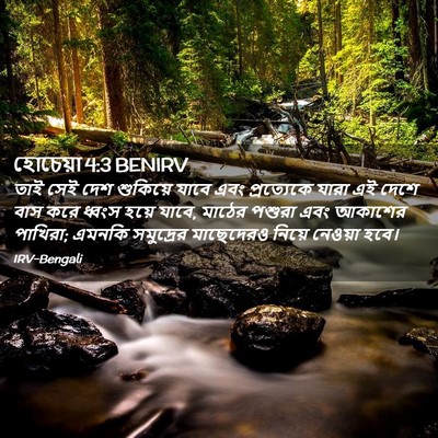 Picture 02 - হোচেয়া 4:3 BENIRV - তাই সেই দেশ - Bible Verse Picture