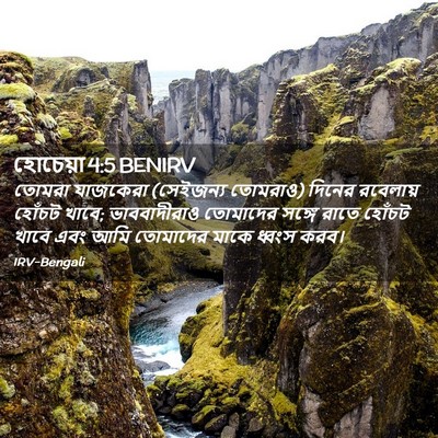 Picture 02 - হোচেয়া 4:5 BENIRV - তোমরা যাজকেরা - Bible Verse Picture