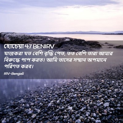 Picture 02 - হোচেয়া 4:7 BENIRV - যাজকরা যত বেশি - Bible Verse Picture
