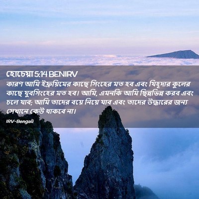 Picture 02 - হোচেয়া 5:14 BENIRV - কারণ আমি - Bible Verse Picture