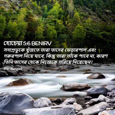Picture 02 - হোচেয়া 5:6 BENIRV - সদাপ্রভুকে খুঁজতে - Bible Verse Picture