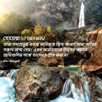 Picture 02 - হোচেয়া 5:7 BENIRV - তারা সদাপ্রভুর - Bible Verse Picture