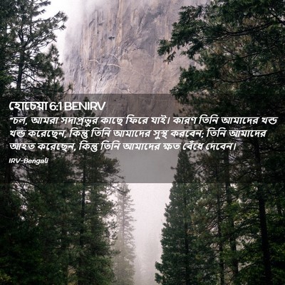 Picture 02 - হোচেয়া 6:1 BENIRV - “চল, আমরা - Bible Verse Picture