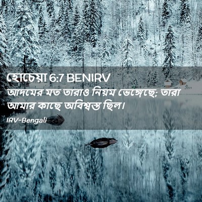 Picture 02 - হোচেয়া 6:7 BENIRV - আদমের মত তারাও - Bible Verse Picture
