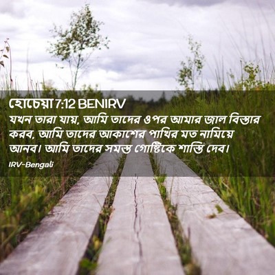 Picture 02 - হোচেয়া 7:12 BENIRV - যখন তারা যায়, আমি - Bible Verse Picture