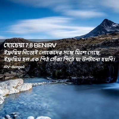 Picture 02 - হোচেয়া 7:8 BENIRV - ইফ্রয়িম নিজেই - Bible Verse Picture