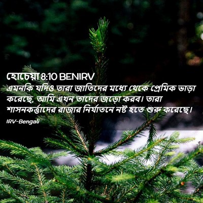 Picture 02 - হোচেয়া 8:10 BENIRV - এমনকি যদিও তারা - Bible Verse Picture