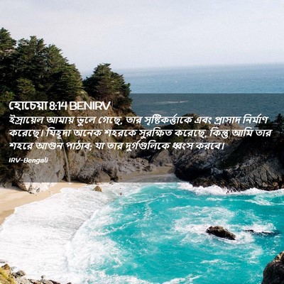 Picture 02 - হোচেয়া 8:14 BENIRV - ইস্রায়েল আমায় - Bible Verse Picture