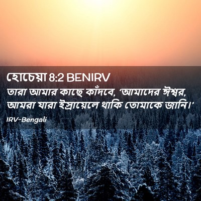 Picture 02 - হোচেয়া 8:2 BENIRV - তারা আমার কাছে - Bible Verse Picture