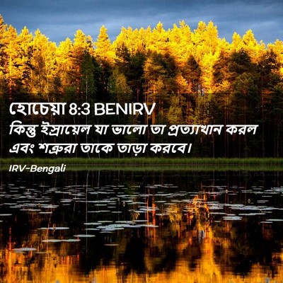 Picture 02 - হোচেয়া 8:3 BENIRV - কিন্তু ইস্রায়েল - Bible Verse Picture