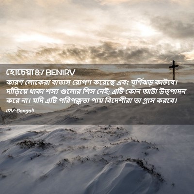 Picture 02 - হোচেয়া 8:7 BENIRV - কারণ লোকেরা বাতাস - Bible Verse Picture