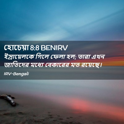 Picture 02 - হোচেয়া 8:8 BENIRV - ইস্রায়েলকে গিলে - Bible Verse Picture