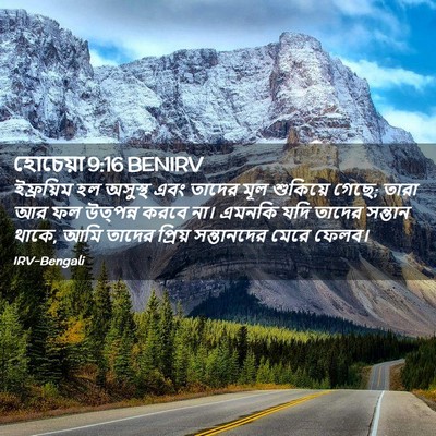 Picture 02 - হোচেয়া 9:16 BENIRV - ইফ্রয়িম হল - Bible Verse Picture