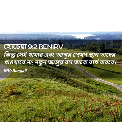 Picture 02 - হোচেয়া 9:2 BENIRV - কিন্তু সেই খামার - Bible Verse Picture