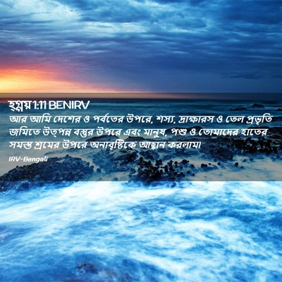 Picture 02 - হ্গ্গয় 1:11 BENIRV - আর আমি দেশের ও - Bible Verse Picture