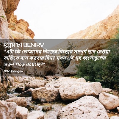 Picture 02 - হ্গ্গয় 1:4 BENIRV - “এটা কি তোমাদের - Bible Verse Picture