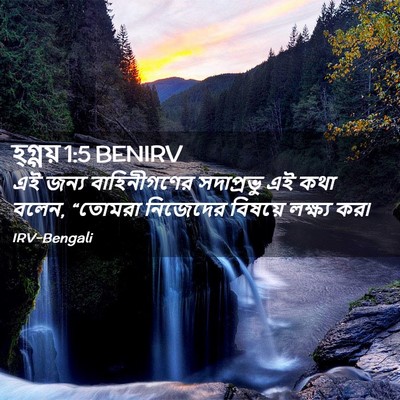 Picture 02 - হ্গ্গয় 1:5 BENIRV - এই জন্য - Bible Verse Picture