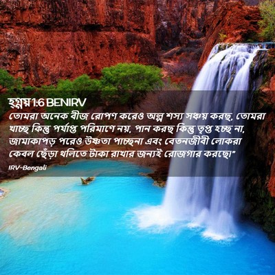 Picture 02 - হ্গ্গয় 1:6 BENIRV - তোমরা অনেক বীজ - Bible Verse Picture