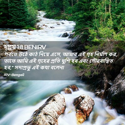 Picture 02 - হ্গ্গয় 1:8 BENIRV - পর্বতে উঠে কাঠ - Bible Verse Picture