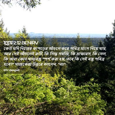 Picture 02 - হ্গ্গয় 2:12 BENIRV - কেউ যদি নিজের - Bible Verse Picture