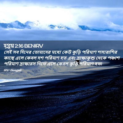 Picture 02 - হ্গ্গয় 2:16 BENIRV - সেই সব দিনের - Bible Verse Picture