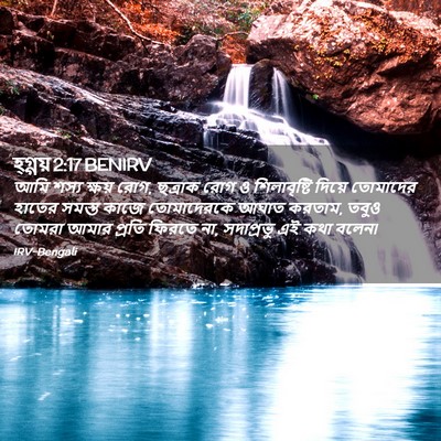 Picture 02 - হ্গ্গয় 2:17 BENIRV - আমি শস্য ক্ষয় রোগ, - Bible Verse Picture