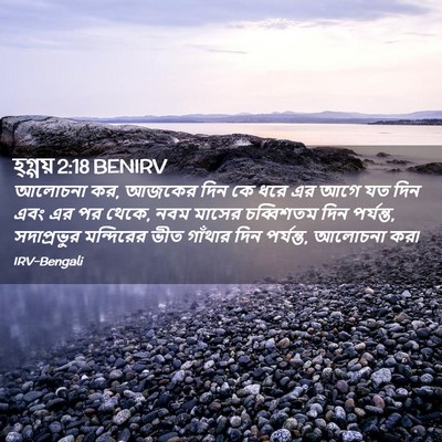 Picture 02 - হ্গ্গয় 2:18 BENIRV - আলোচনা কর, আজকের - Bible Verse Picture