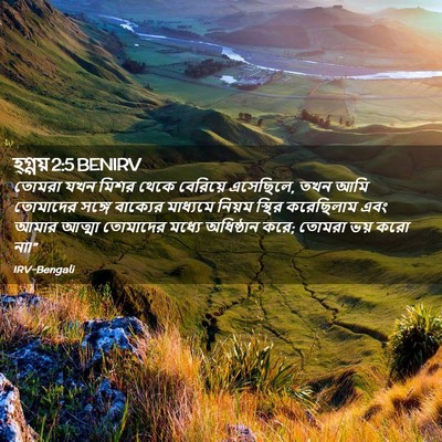 Picture 02 - হ্গ্গয় 2:5 BENIRV - তোমরা যখন মিশর - Bible Verse Picture